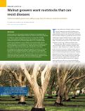 Cover page: Walnut growers want rootstocks that can resist diseases