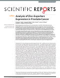 Cover page: Analysis of Zinc-Exporters Expression in Prostate Cancer.